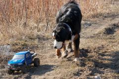 cid_244D8D3C-9246-43CD-A5D0-1899D7B9BC1F@upc-Mittel