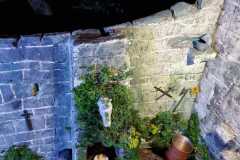 IMG-20220911-WA0099