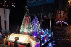 IMG-20241208-WA0072