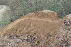 IMG-20251206-WA0004