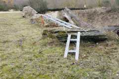 IMG-20251206-WA0005