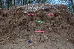 IMG-20251206-WA0016