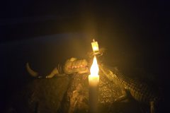 IMG-20251206-WA0038-scaled